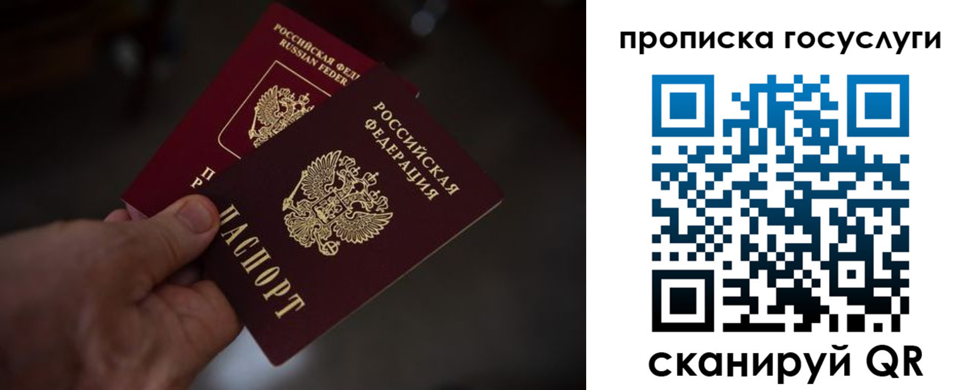 прописка ребенка в Донском